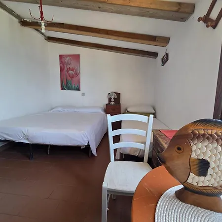 Morelli - La Baracchina Sul Mare Фоллоника